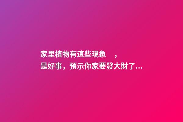 家里植物有這些現象，是好事，預示你家要發大財了！